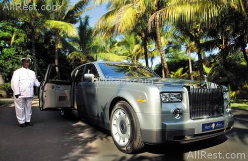 Royal Palm 53